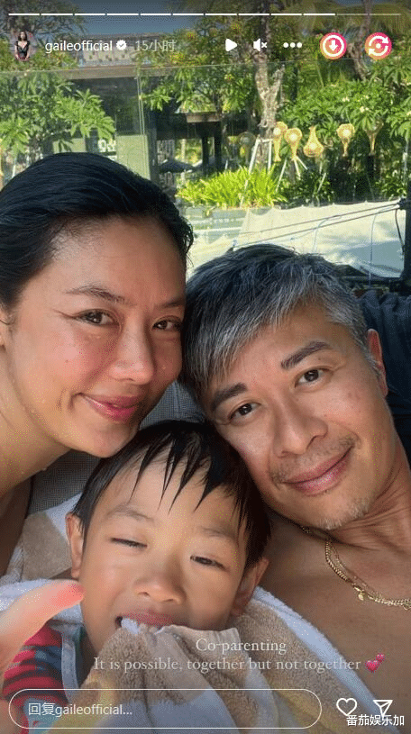 知名演员乐基儿发文:“共养儿子是可能的,但不能在一起”,评论区炸了
