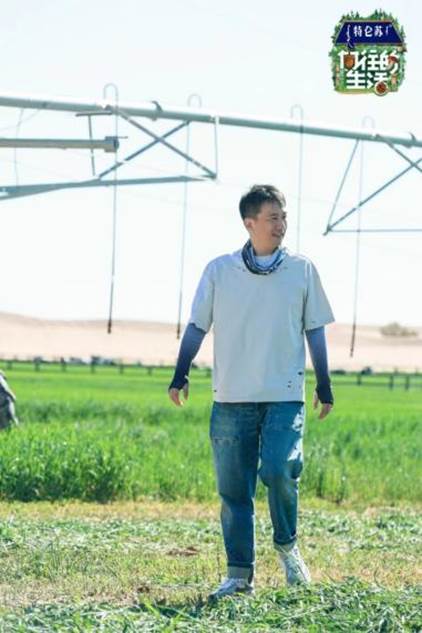 谭松韵彭昱畅谁是游戏黑洞《向往的生活》告别乌兰布和重返蘑菇屋