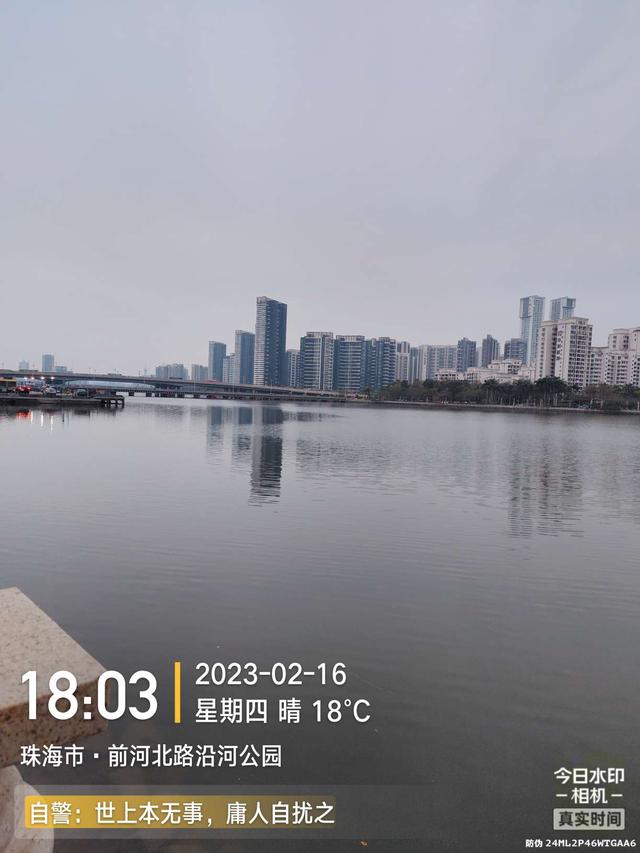 鲤鱼|给鱼尝尝肥宅快乐水，前有花河豚后有靓鲤鱼