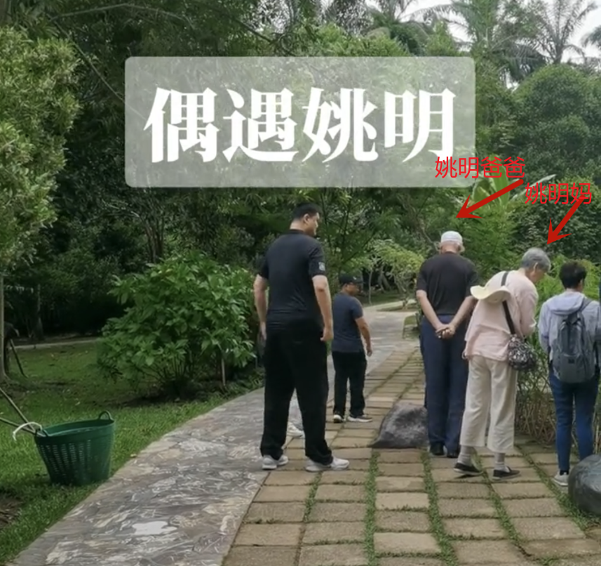 42岁姚明带全家出游,父母年过古稀身高2米,一家五口象群小巨人