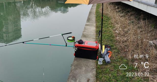 饵料|年初作钓雨绵绵，白条鳑鲏鲫翘连