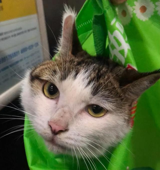 律师|律政职场剧《平凡之路》播出：撒泼耍横算什么整顿职场？