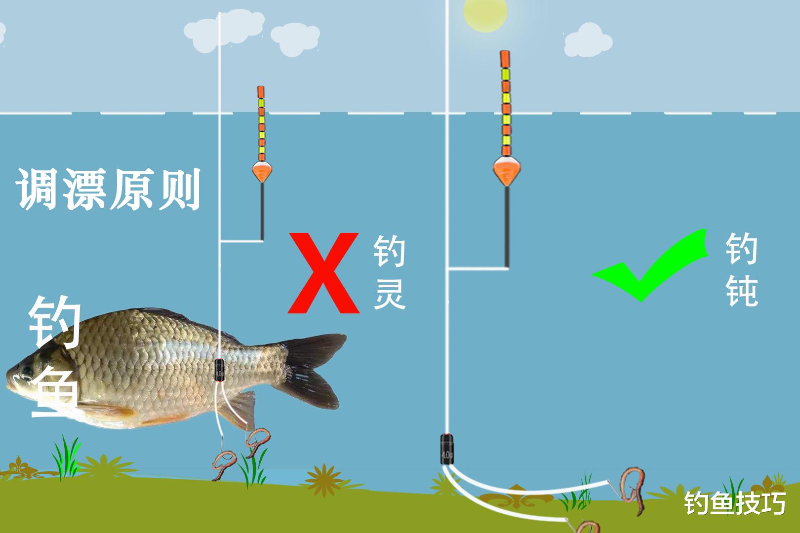 钓鱼调漂的5个基本原则,决定了鱼口的好坏