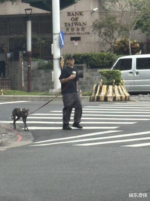 彭于晏|彭于晏上街遛狗 1举动获赞好邻居