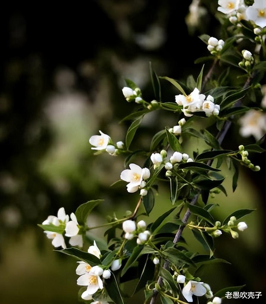 同样是本科毕业，为啥有的人能轻松找到月薪2万的工作？