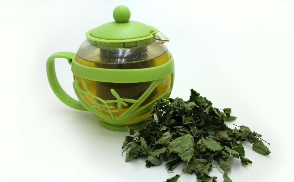 桑叶泡茶效果虽好，但5类人不能“随便喝”，望你早点搞清楚