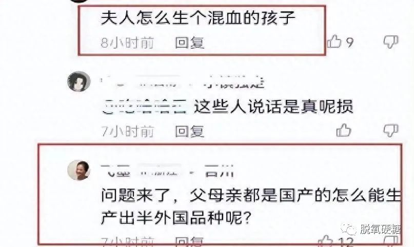 张纪中大骂小31岁娇妻“马蓉二号”，司机都不放过，儿子也不是亲生的？！