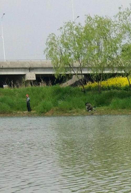 鲫鱼|浅谈春季野钓天气,选准时机很重要!