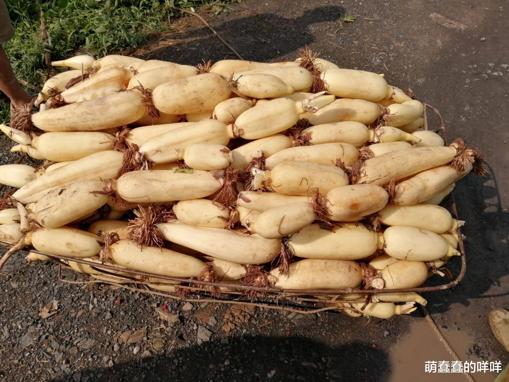 |入冬后,早餐多吃它,一健脾,二补钾,三助眠,老少皆宜的美食