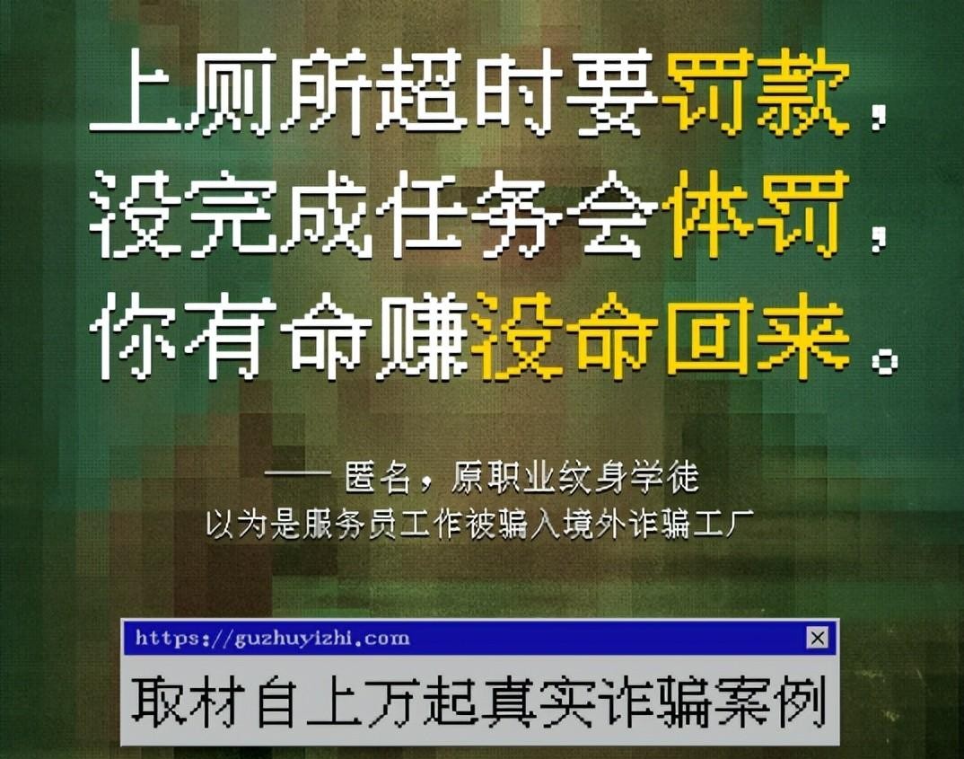 冲着张艺兴看《孤注一掷》,却被金晨跪王传君裤裆的演技惊艳到了