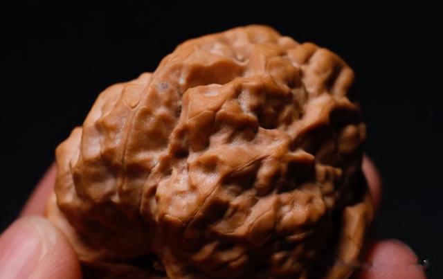 文玩核桃|文玩核桃佳品蛤蟆头，麻核桃和铁核桃怎么区分