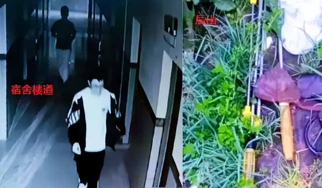 胡鑫宇失踪案再起波澜,官媒提出质疑,海康威视否认传闻!