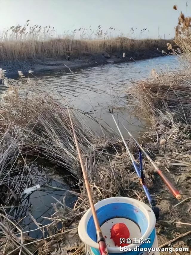 鱼口正好，却不欢而散