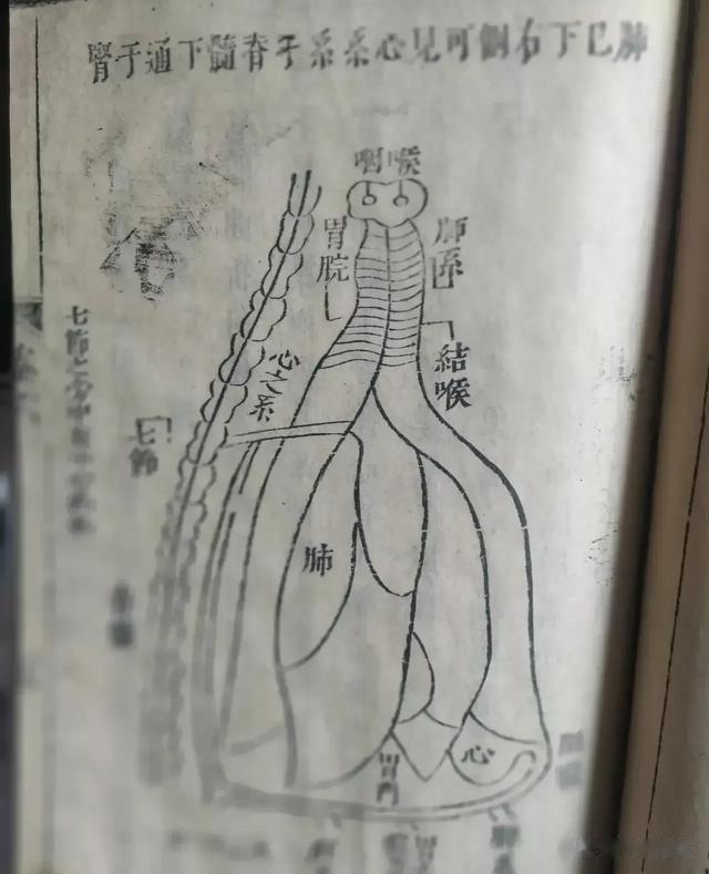 中医里有很多未解之谜,10年琢磨不透,这几张图能看懂的都是高人