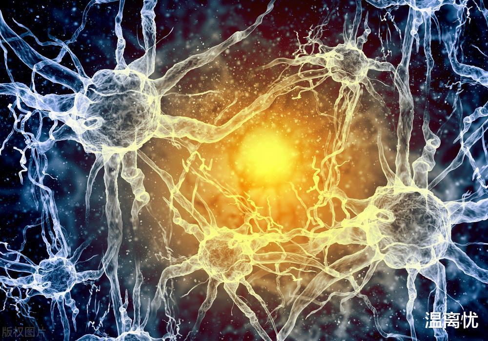 蚊子在地球上有什么用?若蚊子消失人类也有可能在地球上消失!