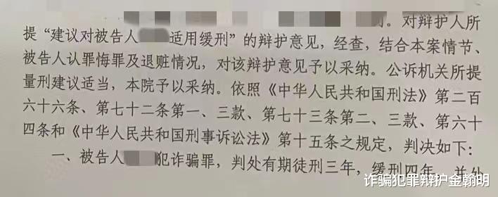 诈骗罪案件无罪辩护办案札记(从十年以上到缓刑)