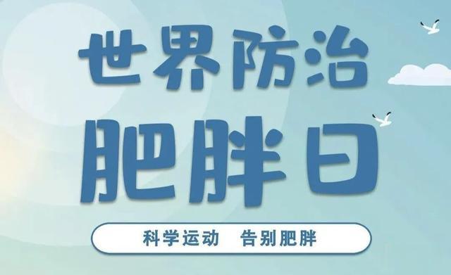 bmi|又胖了，怎么办？