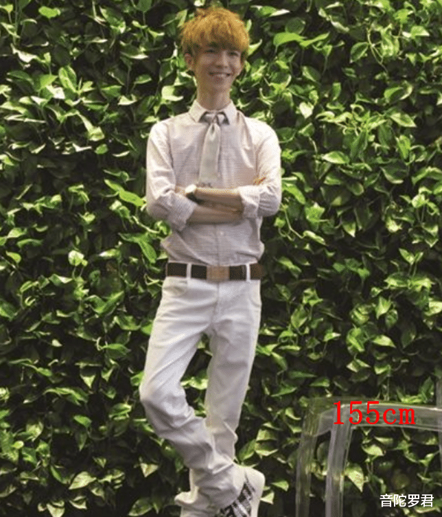 拿观众当弱视!这6位明星的身高最少谎报10厘米,露馅后真尴尬