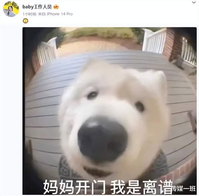 情侣|24小时内：娱乐圈1人被家暴，2对情侣热恋，1人去世，悲喜各不同