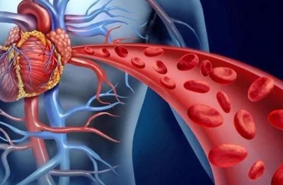 戒烟|血液“干净”的人，大都会有8大特征，不妨看看你占了几个