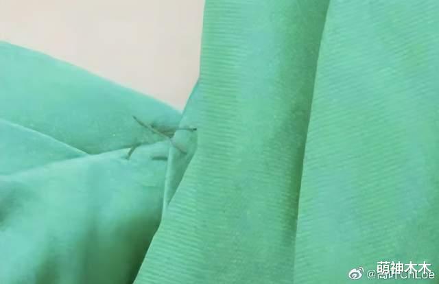 |高叶戛纳红毯遇尴尬，礼服侧面崩开炸线，本人求网友给点面子