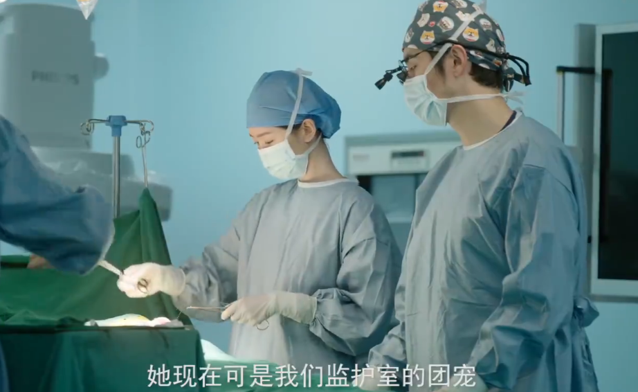 《好事成双》口碑翻车,谁接档?央视终于上“硬菜”,熬夜也要追