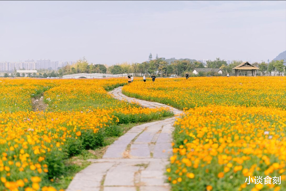 霜降|霜降后,不管有钱没钱,切记:吃3物,做2事,护住阳气好入冬