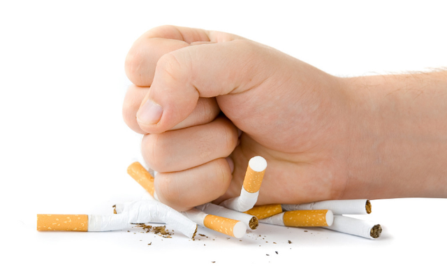 大脑|血型不同，大脑衰老速度不同？哪种血型容易得老年痴呆？研究来了