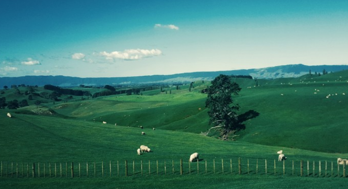 仁寿|不要在工作中寻找意义，完全没有必要