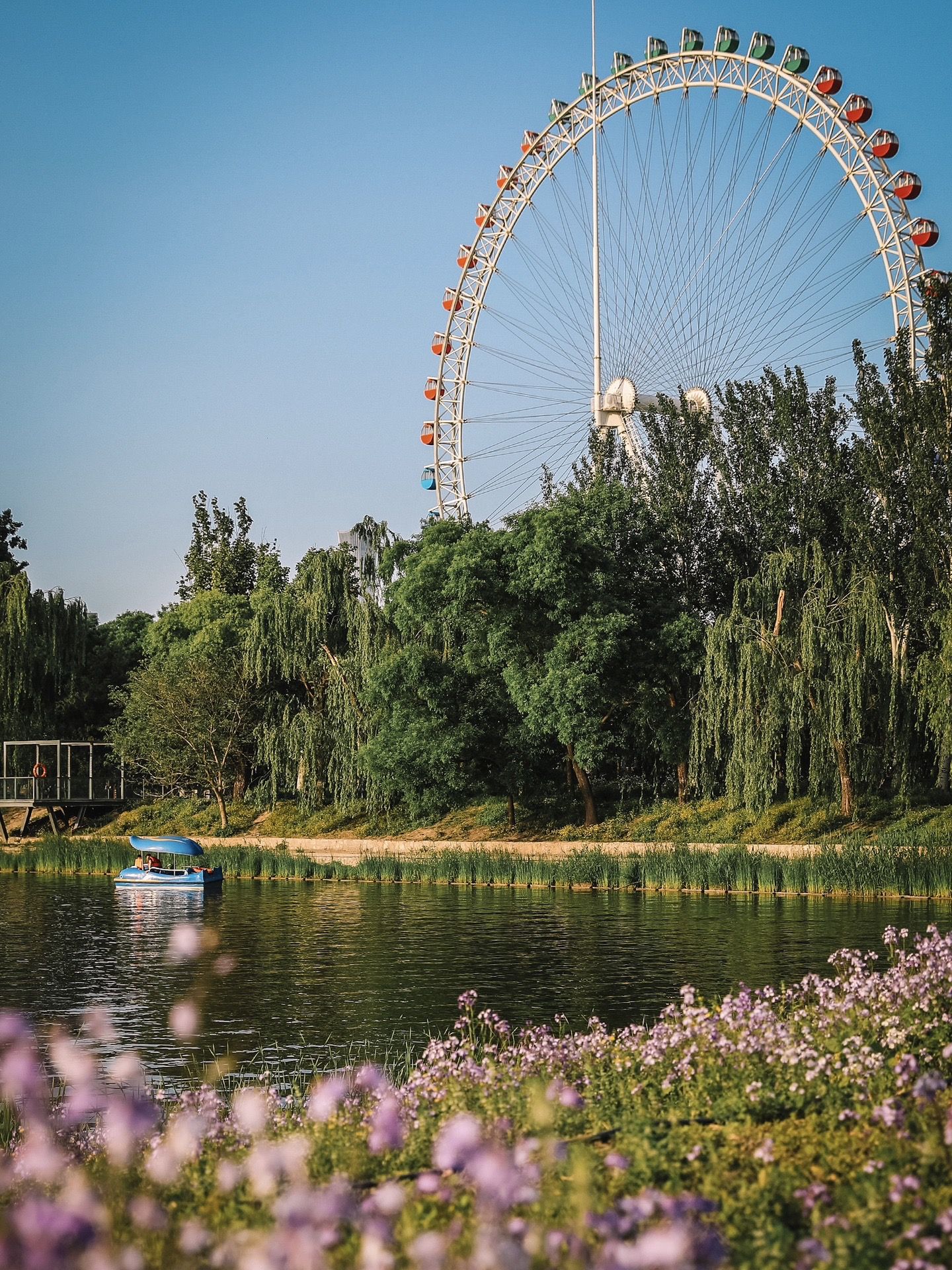 北京市|免费 ?在北京，找不到比它更浪漫的小公园