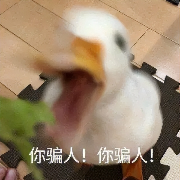 顶流vs顶流，当初鹿晗关晓彤官宣，也就这个炸度了吧！