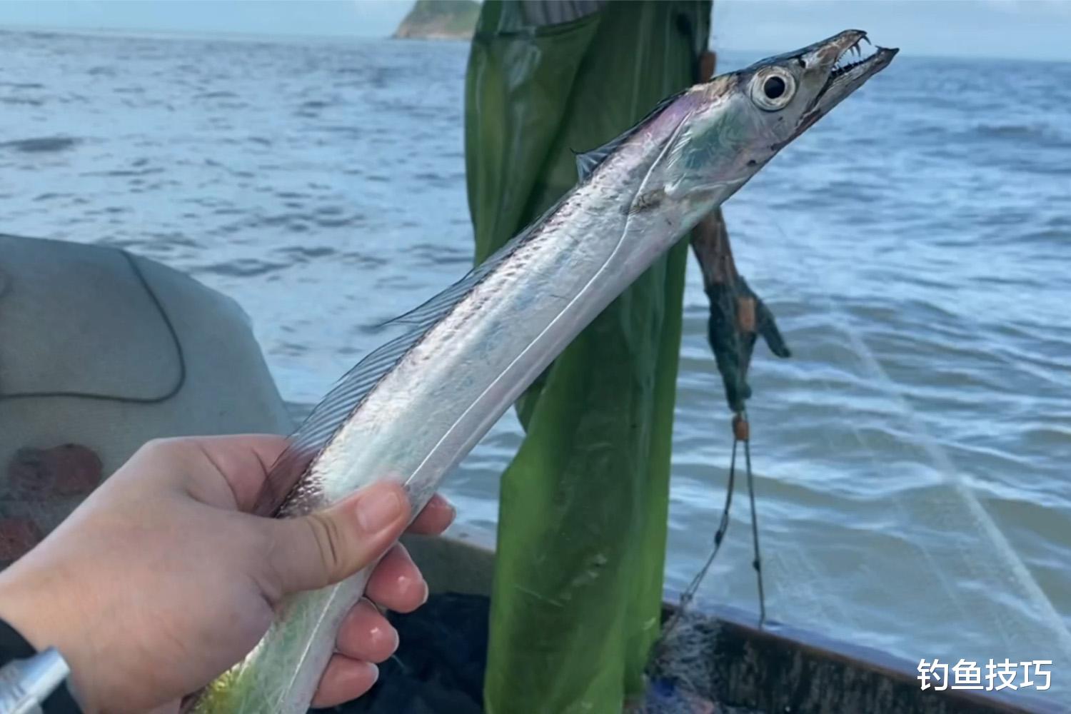 冬天如何钓带鱼？冬天钓带鱼的4个技巧