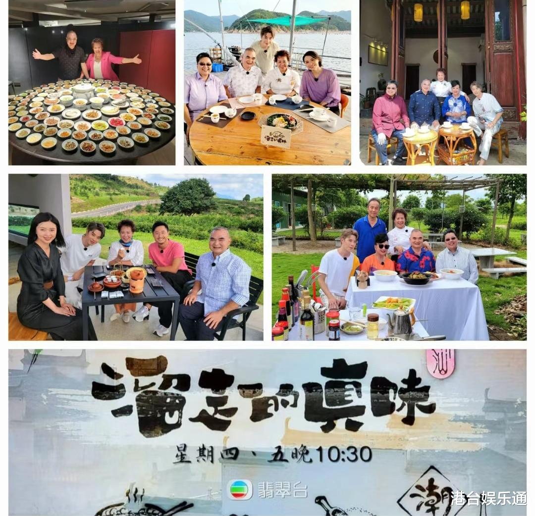 TVB最新收视：《新闻女王》再度夺冠，井柏然、宋威龙剧集暴跌