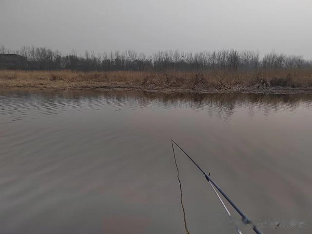 鲫鱼|钓鱼日记——2023年3月5日（巩华城）