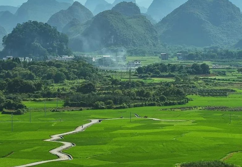 ?探索生活的多彩旅程:人际关系、职业生涯与身心健康的意义