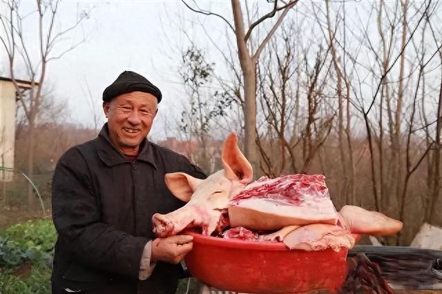 猪肉|现在的猪肉吃着不香了?口味变了还是猪肉变了,听养殖户怎么说!