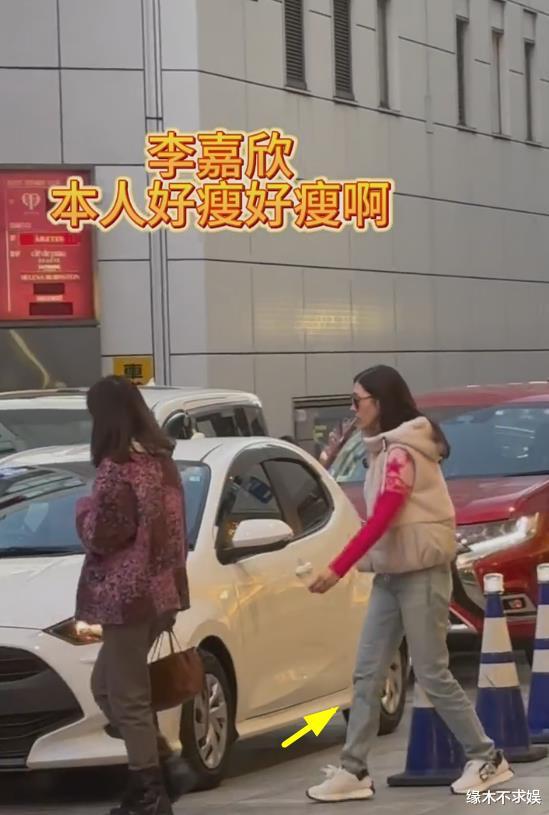 李嘉欣一家日本过圣诞！许晋亨亲密搂肩姐姐尴尬，走路姿势引群嘲