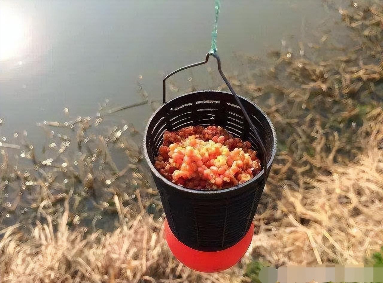 冬季钓鱼发现几个小规律，算得上颠覆原来认知，还挺有意思