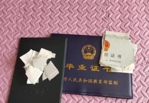 工地|本科毕业却找不到工作，怒撕毕业证打算去工地，真实学历惹人质疑