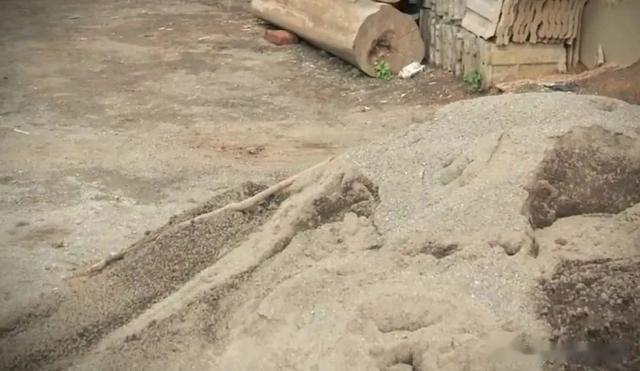 《今日说法》中的逆天奇案，死者托梦透露埋尸地点，旧案回顾