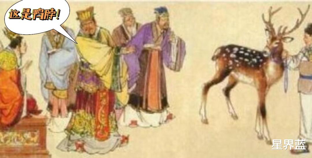 鸭脖|是鸭脖还是老鼠头,真的这么难以分辨?