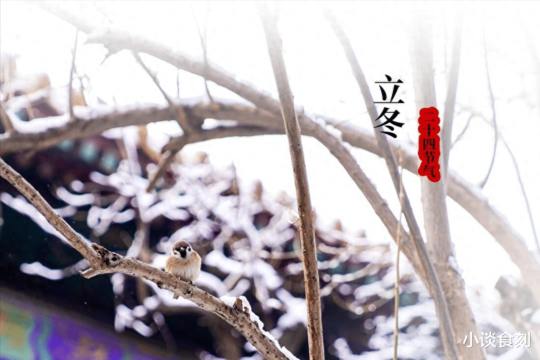 |“立冬不补冬，到头一场空”，廿五立冬，建议：吃3样，顺利入冬