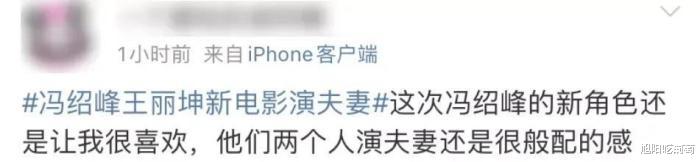 朱珠|冯绍峰和王丽坤突然官宣喜讯!