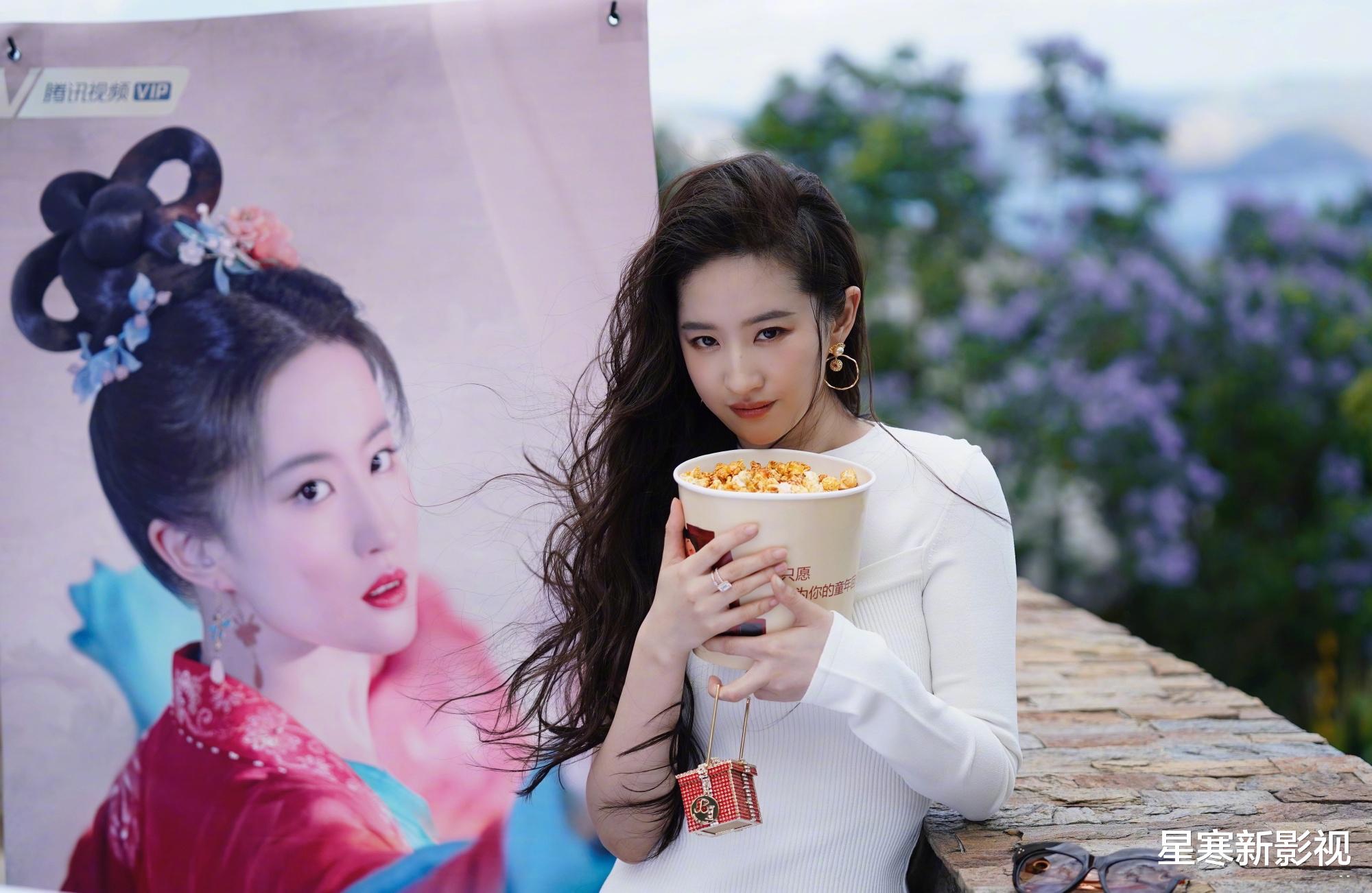 刘亦菲《玫瑰故事》未播先火，阵容雄厚，4位男主都是实力派男神