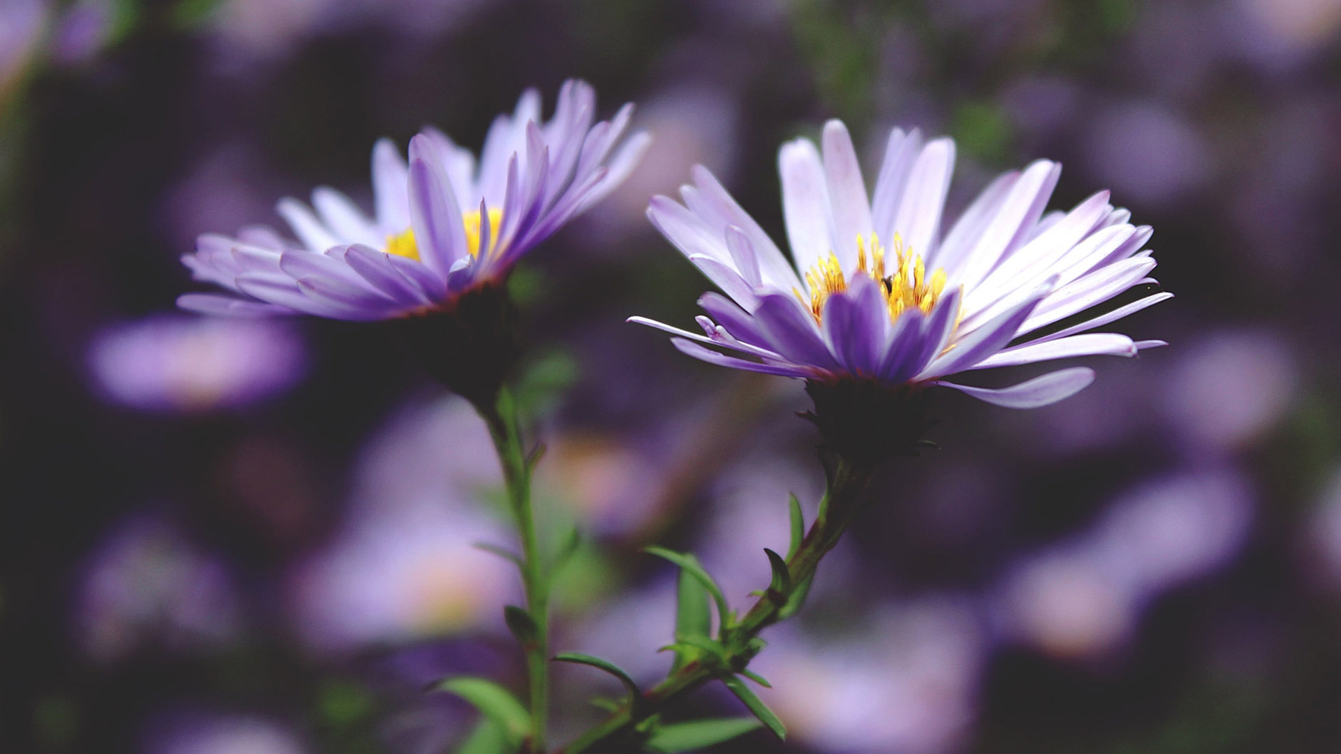 今年八月,运势整体提升,3大生肖贵人运上,渡过难关,轻松赚大笔金钱