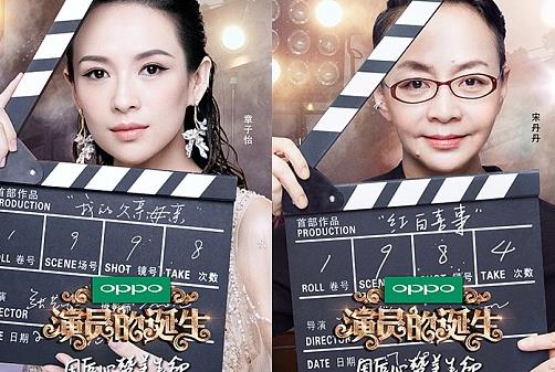 明星|综艺节目中的明星效应