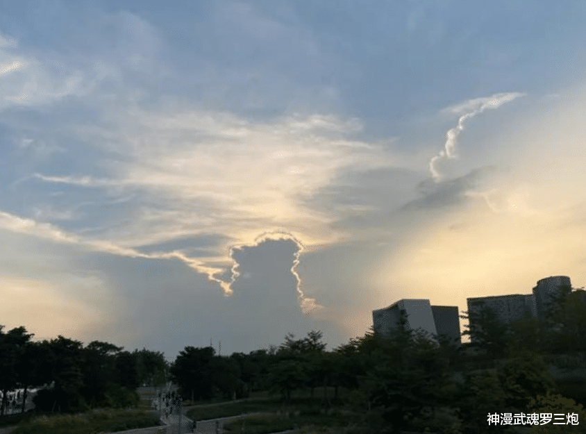 白羊座|社会戾气重是谁的错?孔子曰:不患寡而患不均,罗尔斯提出正义论