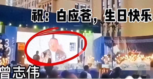 张智霖涉嫌诈骗,已被警方带走调查,背后的奢靡生活曝光令人咋舌
