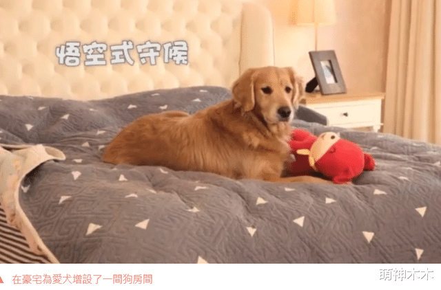 周海媚确认离世!一生8段感情无疾而终,曾亲口说过不想生小孩