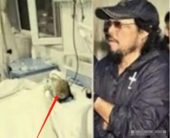 费玉清被曝病情恶化,瘫床浑身插满管子,私生子陪床疑夺20亿财产